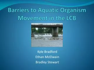 Barriers to Aquatic Organism Movement in the LCB