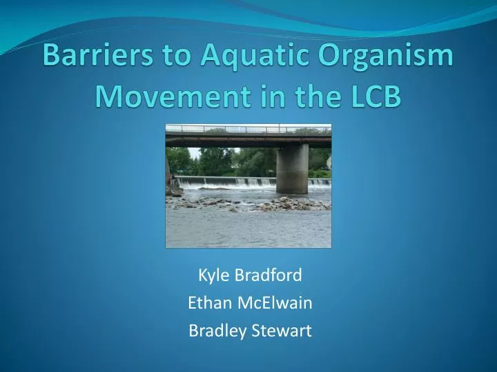 barriers to aquatic organism movement in the lcb