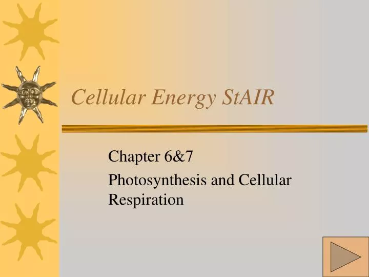 cellular energy stair