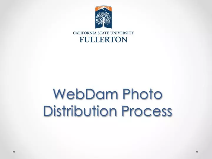 webdam photo distribution process
