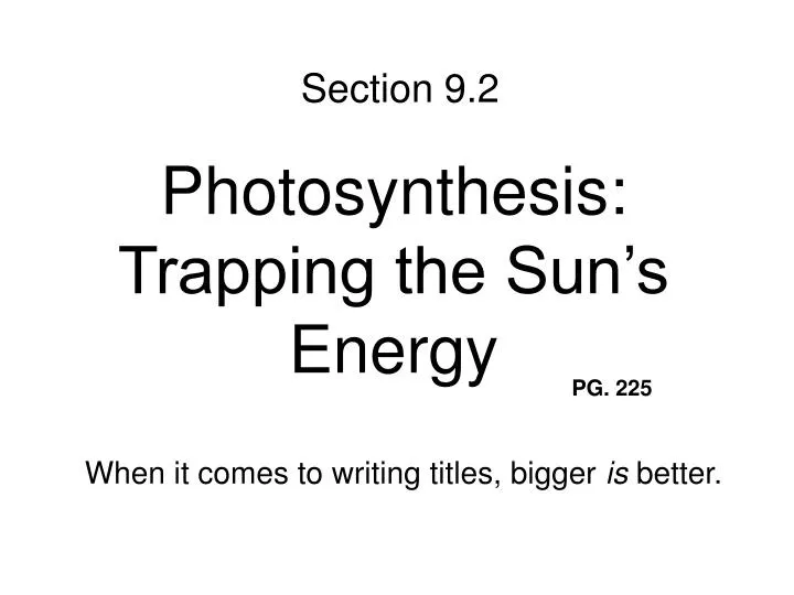 photosynthesis trapping the sun s energy