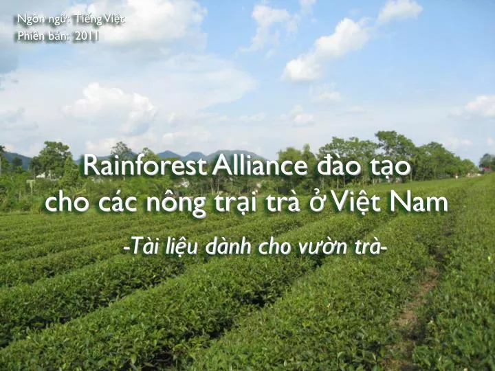 rainforest alliance o t o cho c c n ng tr i tr vi t nam