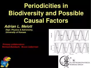 Periodicities in Biodiversity and Possible Causal Factors