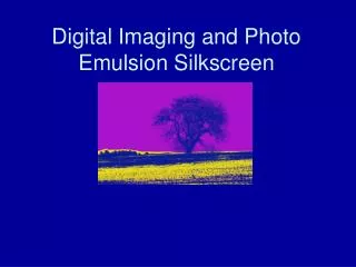 Digital Imaging and Photo Emulsion Silkscreen