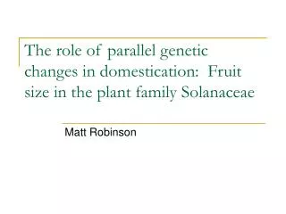 The role of parallel genetic changes in domestication: Fruit size in the plant family Solanaceae