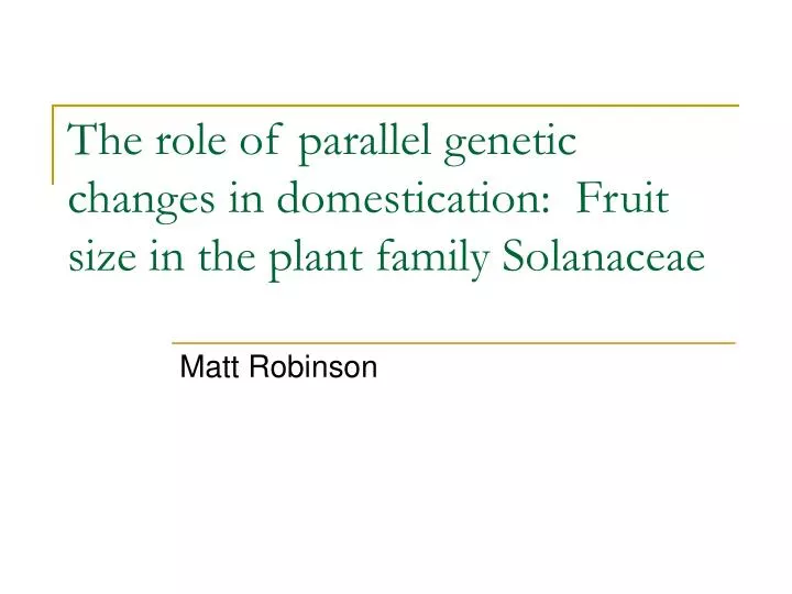 the role of parallel genetic changes in domestication fruit size in the plant family solanaceae