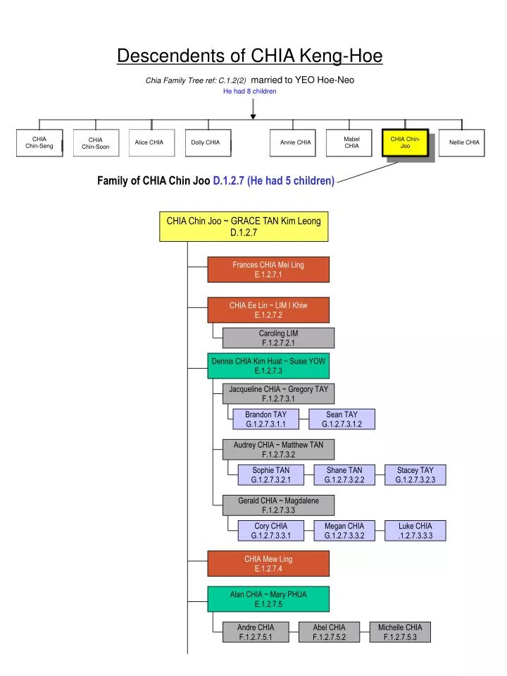 descendents of chia keng hoe chia family tree ref c 1 2 2 married to yeo hoe neo he had 8 children