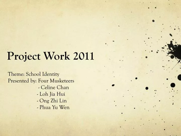 project work 2011