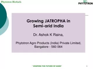 Growing JATROPHA in Semi-arid India Dr. Ashok K Raina,