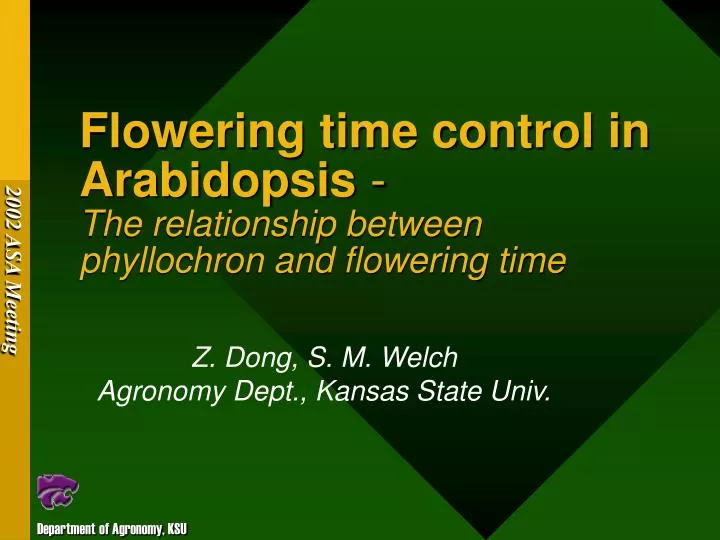 flowering time control in arabidopsis the relationship between phyllochron and flowering time