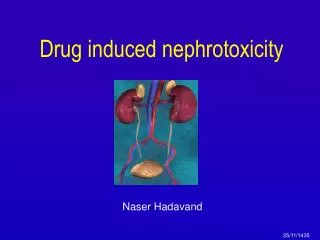 Drug induced nephrotoxicity