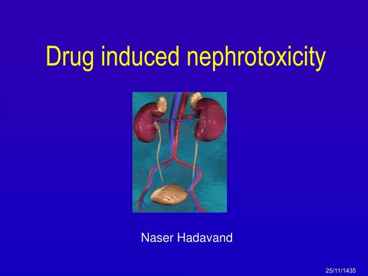drug induced nephrotoxicity