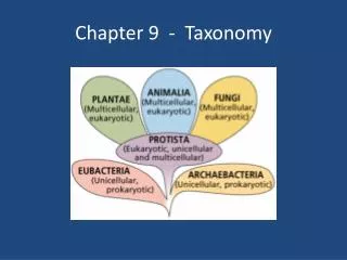 Chapter 9 - Taxonomy