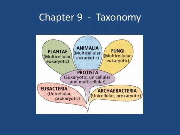 chapter 9 taxonomy