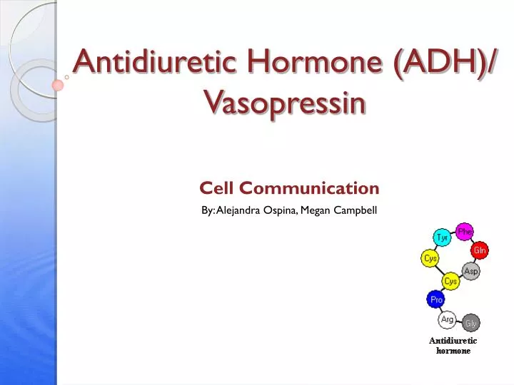 antidiuretic hormone adh vasopressin