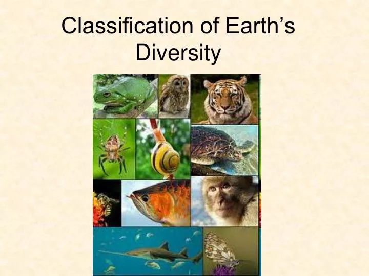 classification of earth s diversity