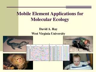 Mobile Element Applications for Molecular Ecology