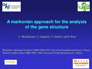 A markovian approach for the analysis of the gene structure