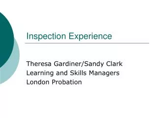 Inspection Experience