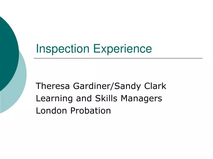 inspection experience