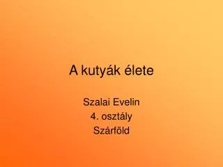 a kuty k lete