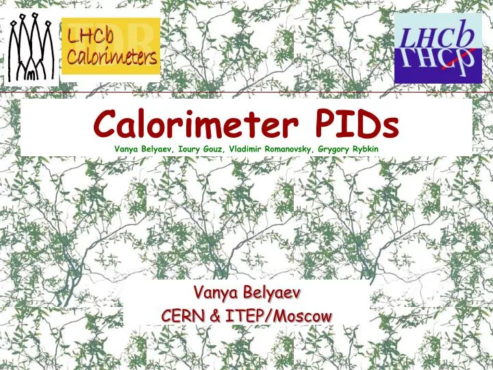 calorimeter pids vanya belyaev ioury gouz vladimir romanovsky grygory rybkin