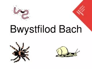 bwystfilod bach