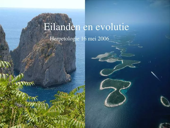 eilanden en evolutie