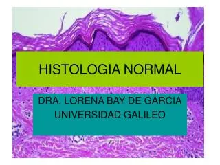 histologia normal
