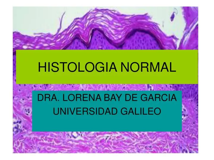 histologia normal