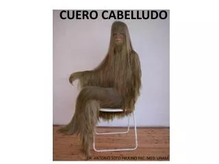 cuero cabelludo