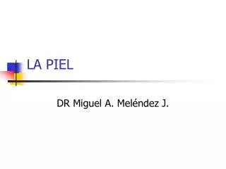 la piel