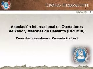 Asociación Internacional de Operadores de Yeso y Masones de Cemento (OPCMIA)