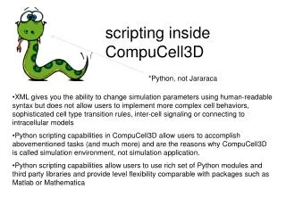 scripting inside CompuCell3D