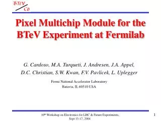 Pixel Multichip Module for the BTeV Experiment at Fermilab