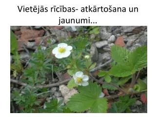 viet j s r c bas atk rto ana un jaunumi