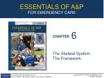 The Skeletal System: The Framework - slide 1