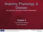 Chapter 6 The Skeletal System: The Framework - slide 1
