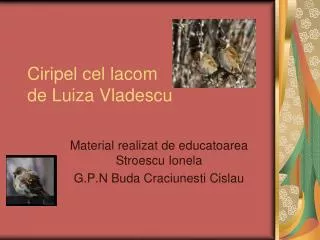 ciripel cel lacom de luiza vladescu