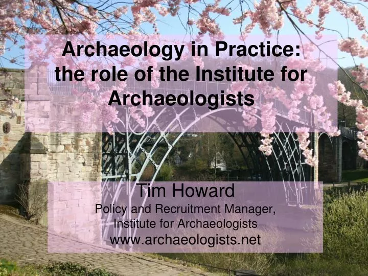 archaeology in practice the role of the institute for archaeologists