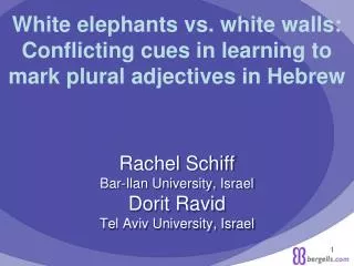 Rachel Schiff Bar-Ilan University, Israel Dorit Ravid Tel Aviv University, Israel