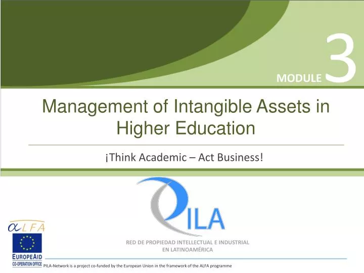 management of intangible assets in higher education