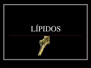l pidos