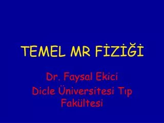 temel mr f z