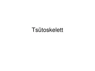 ts toskelett
