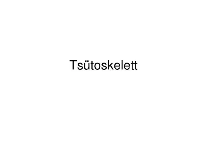 ts toskelett