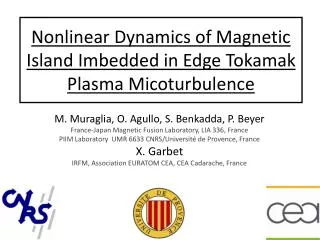 Nonlinear Dynamics of Magnetic Island Imbedded in Edge Tokamak Plasma Micoturbulence