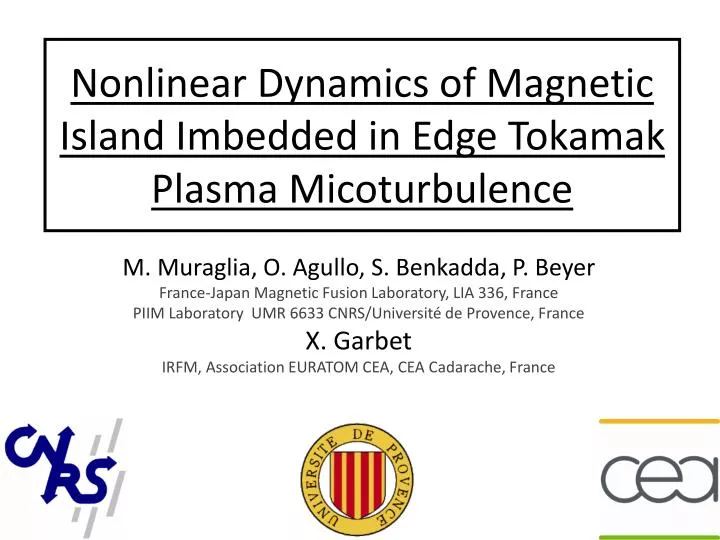nonlinear dynamics of magnetic island imbedded in edge tokamak plasma micoturbulence