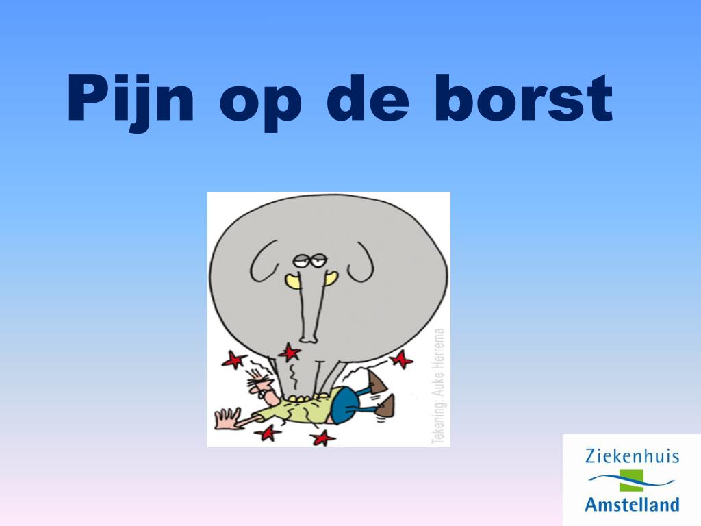 PPT - Pijn op de borst PowerPoint Presentation, free download - ID:4593684