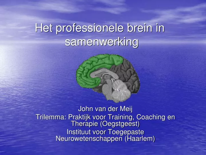 het professionele brein in samenwerking